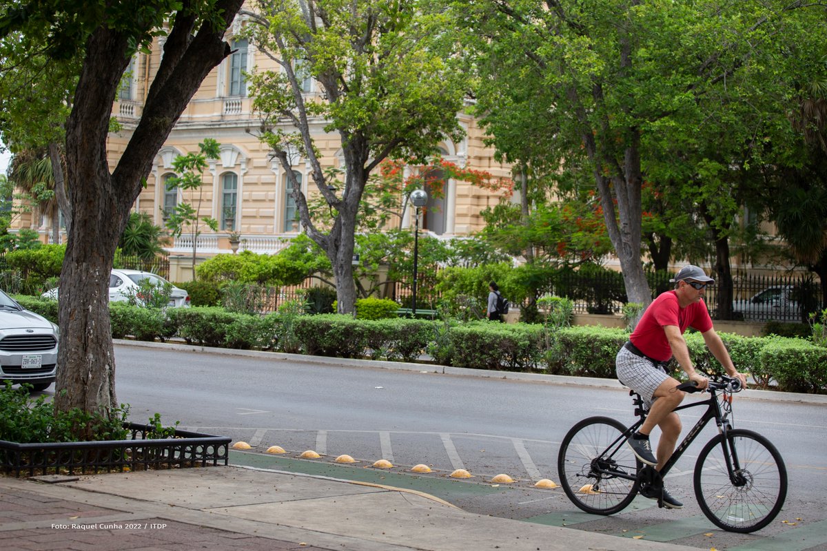 ITDP México tweet media