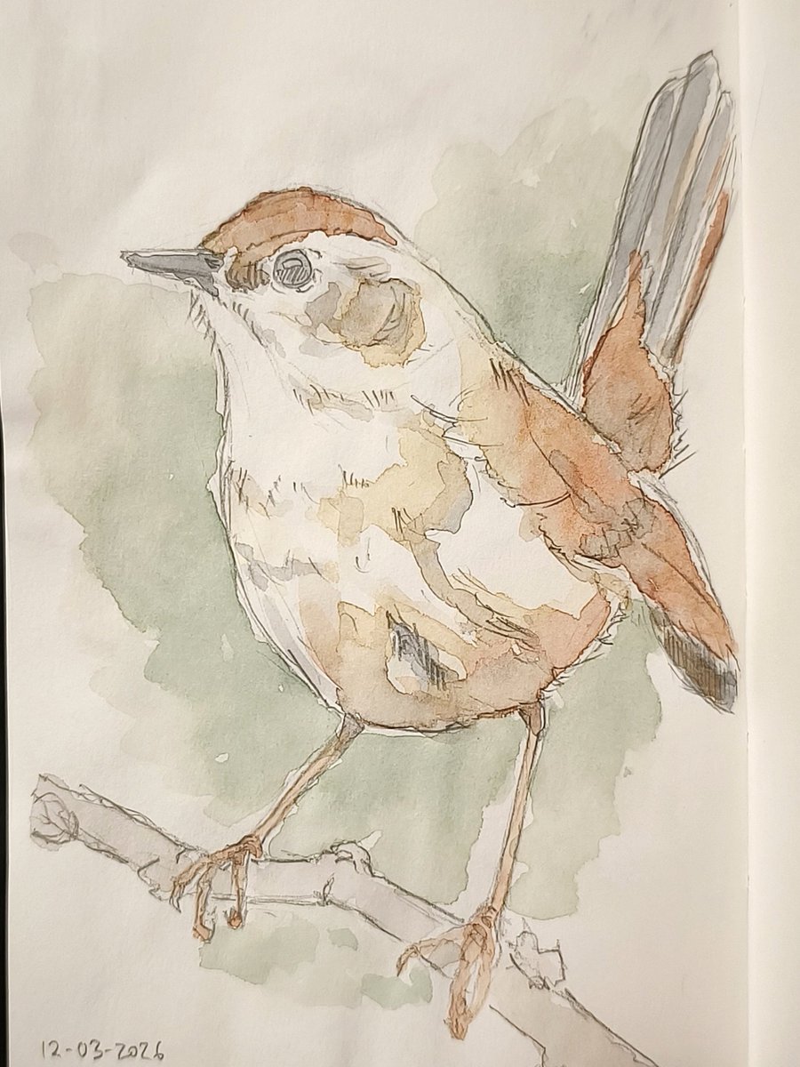 Rafitaska tweet media