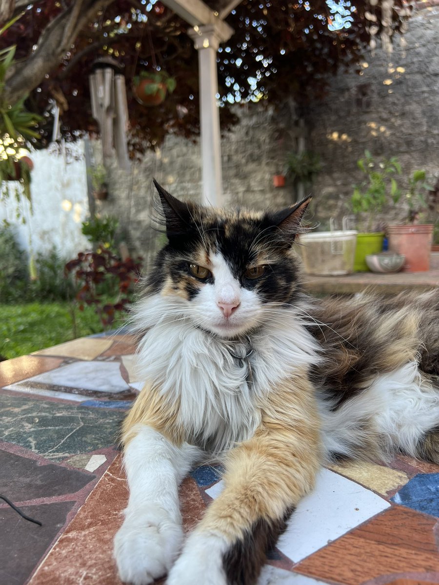 En esta vida perdí mucho, pero perderla a ella fue una de las peores cosas que pude a ver perdido.💔