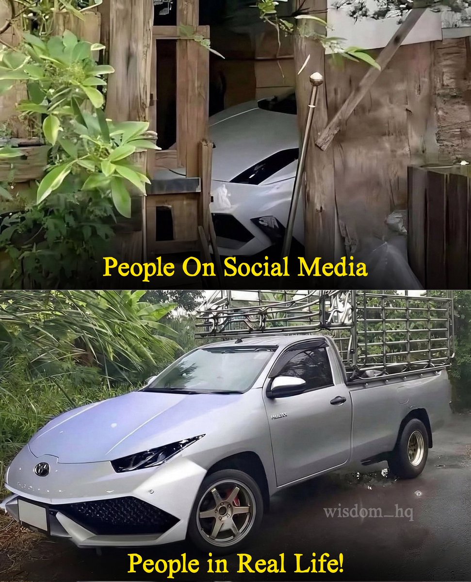 ThomasJ357's tweet photo. Lol 😆 🤣 https://t.co/yuKdxI4gar