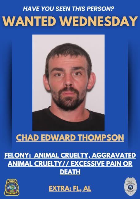 robertstwin1's tweet photo. #WANTED #Animalcruelty #Florida #Alabama #ChadEdwardThompson If you have any information regarding the whereabouts of CHAD EDWARD THOMPSON, please contact Crestview Police Department at 850-682-2055 OR Emerald Coast Crime Stoppers at 850-863-TIPS. https://t.co/Tkeoved3T0