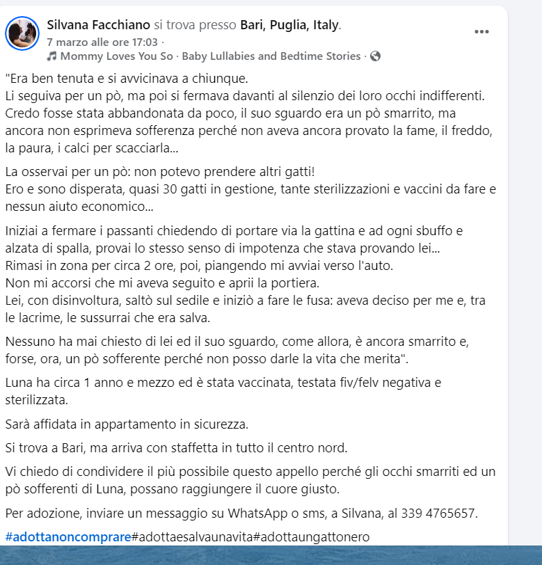 ATTENZIONE🆘🆘 🆘🆘🆘Silvana ☎️3394765657🐈
facebook.com/reel/386350386…
Luna ha circa 1 anno e mezzo recuperata dalla volontaria , meravigliosa e affettuosa , apritegli il cuore cerca una famiglia per sempre ADDOTTAELA #4voiceless