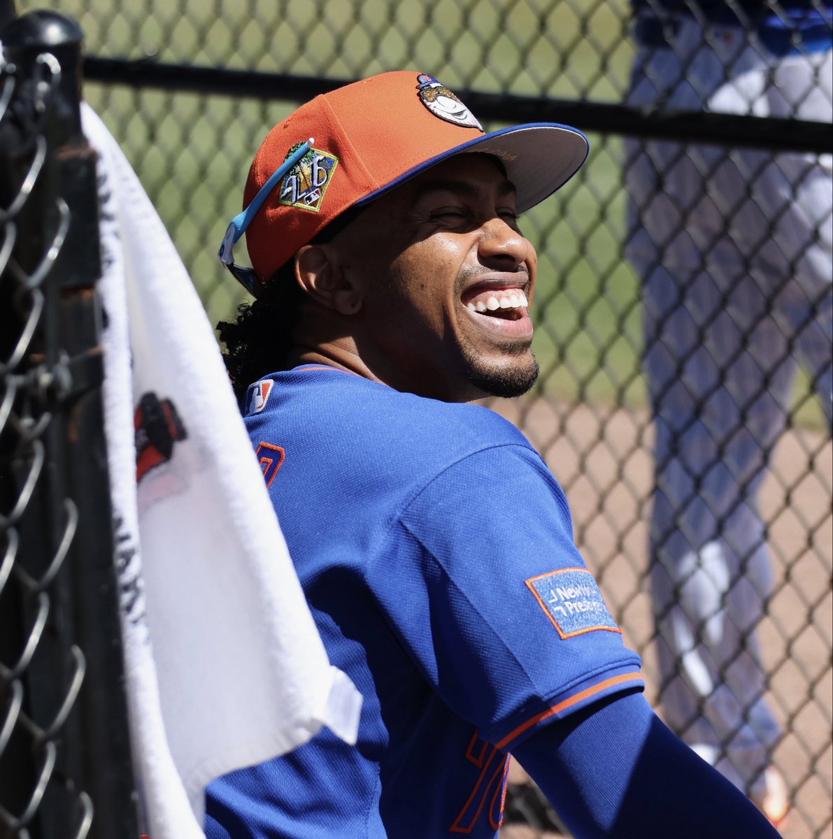 Metsmerized Online tweet media