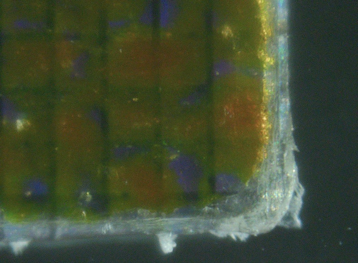 The Collectibles Guru tweet media