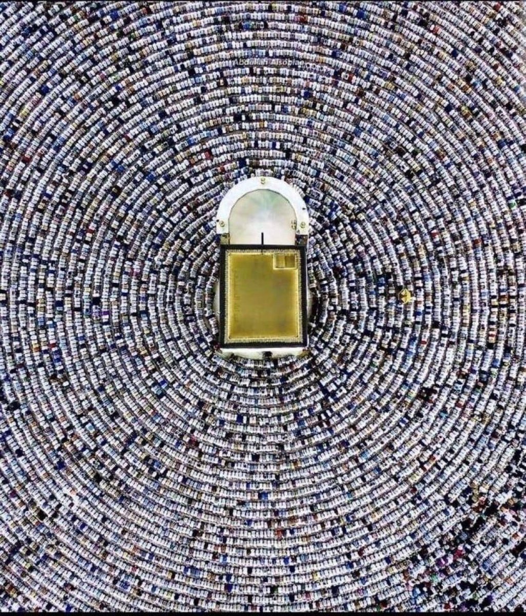 𝑾𝑨𝑳𝑬𝑬𝑫✨ tweet media