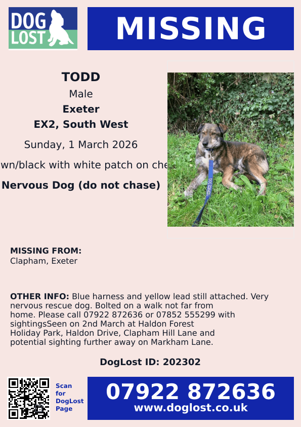 millypod1's tweet image. 🆘1 MAR 2026 #Lost Todd #ScanMe
NERVOUS RESCUE Male
Blue harness &amp;amp; yellow lead still attached
#Clapham #Exeter #Devon #EX2
Sightings☎️ 07922 872636 /07852 555299
Seen 2nd March at Haldon Forest Holiday Park, Haldon Drive, Clapham Hill Lane &amp;amp; Markham Lane.
doglost.co.uk/dog/202302