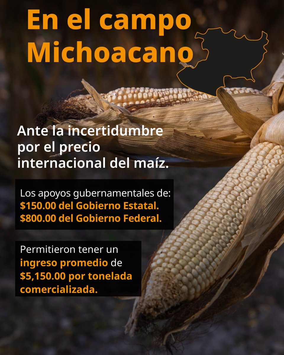 agriculturaMich's tweet photo. Productores y Productoras de #Michoacán te seguimos atendiendo ¡Acércate a las ventanillas más cercanas de tu localidad!

#ApoyosAlMaíz #AgriculturaEnTerritorio
@Agricultura_mex @ClaudiaShein @JulioBerdegue https://t.co/S7vrIKhwM9