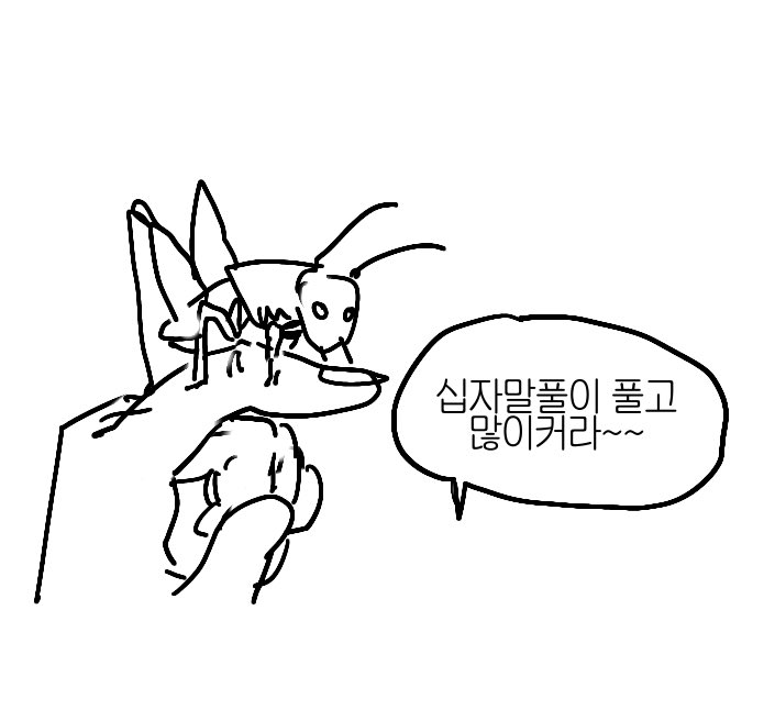 창밖을보라 tweet media