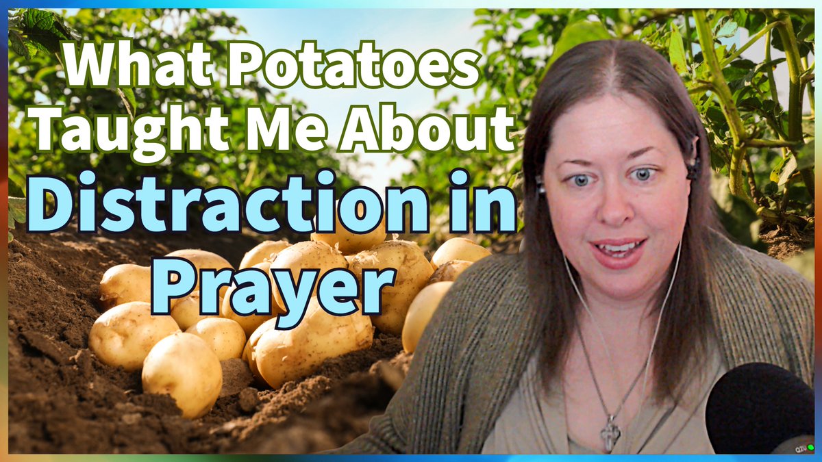 🐻 Di bear (Diane) tweet media