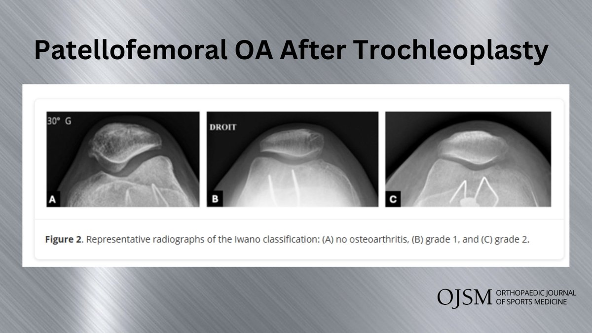 AOSSM Journals tweet media
