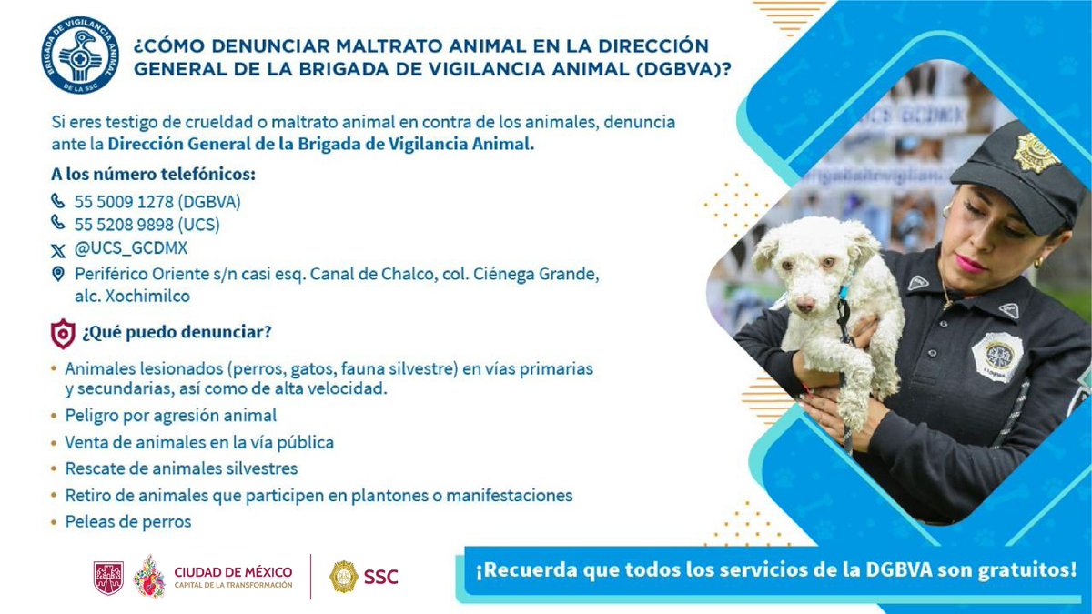 SSC_CDMX's tweet photo. ¿Sabías que el maltrato animal es un delito?
Si eres testigo de una agresión contra ellos puedes reportarla a la Brigada de Vigilancia Animal de la #SSC.👮🏻‍♀️👮🏻‍♂️🐶🐱
Te brindamos los medios de contacto 👇🏼 https://t.co/Mjdq8iSuke