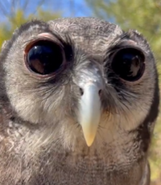 James (@jamesfarme86479) on Twitter photo 