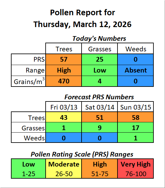 Forsyth County, NC Pollen tweet media