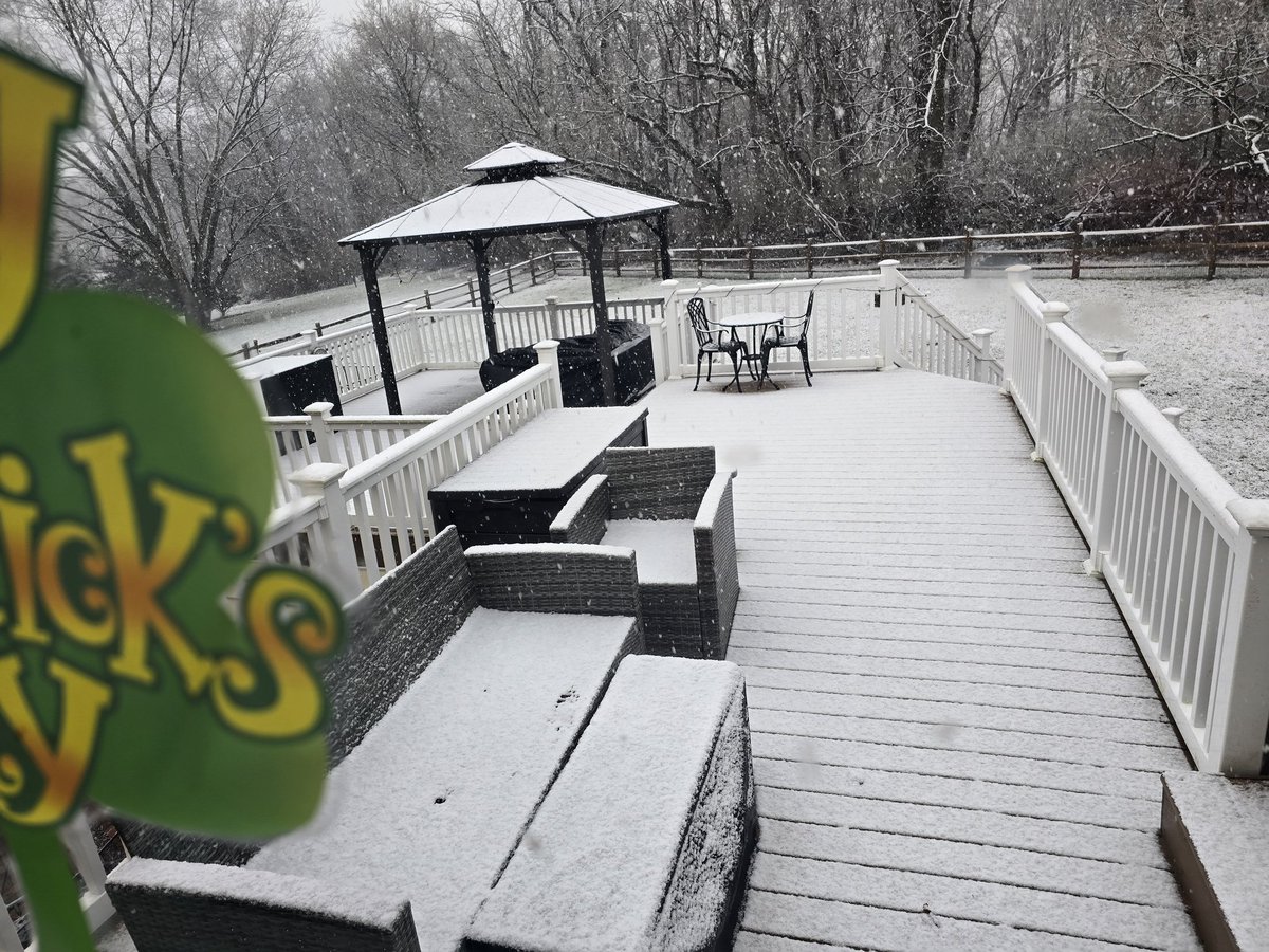 James Cook tweet media