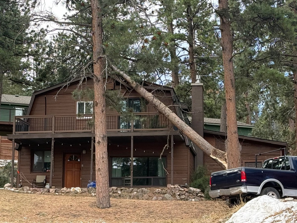 Evergreen Fire/Rescue tweet media