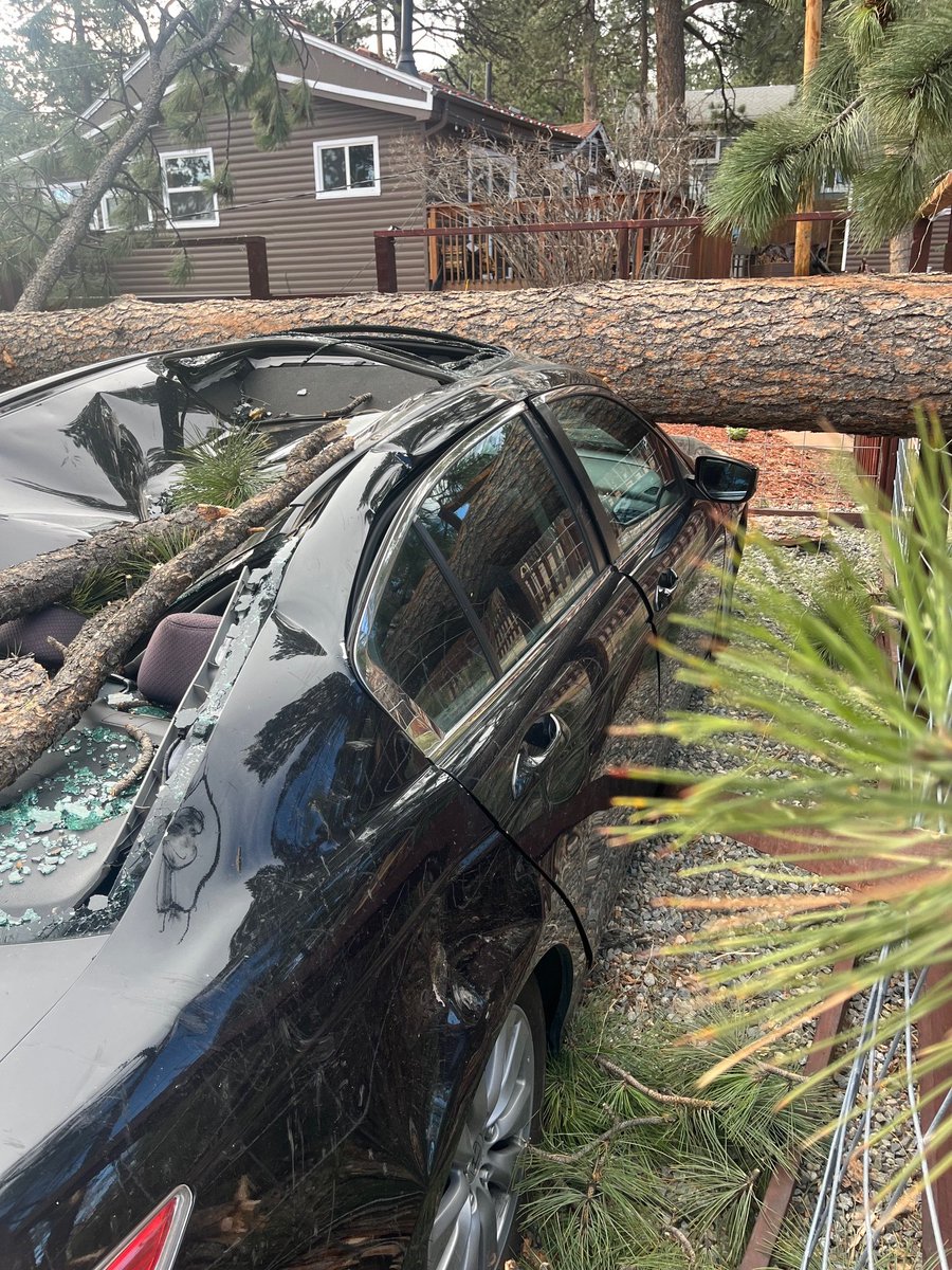 Evergreen Fire/Rescue tweet media