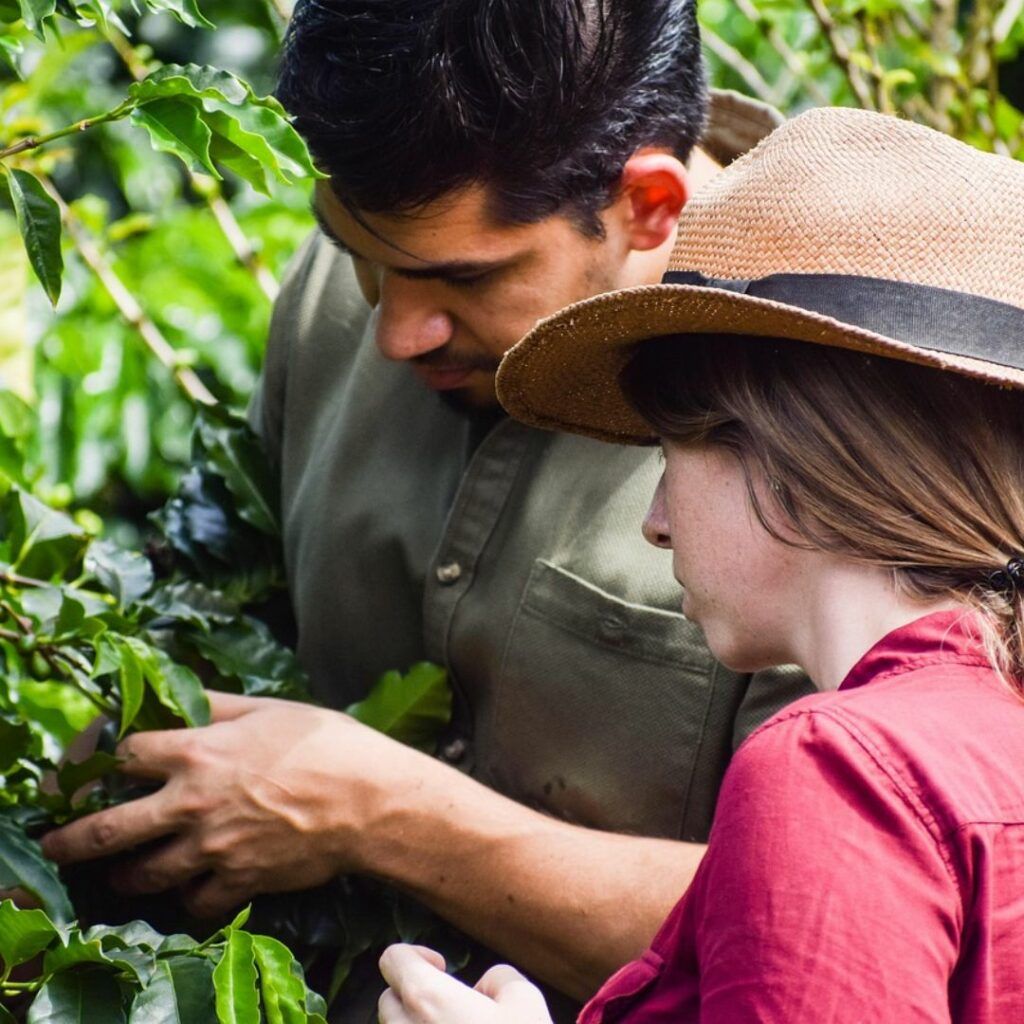 agroislas's tweet photo. New Post: IMPULSA EL RELEVO GENERACIONAL EN EL CAMPO https://t.co/s1vxIMiSnU https://t.co/MHwEvC0vX2