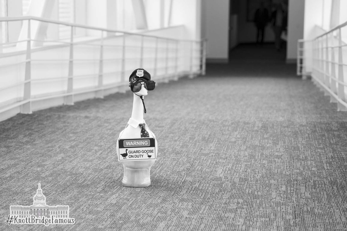 #KnottBridgeFamous Oh no! Somebody sent security! Who could that have been?!?!