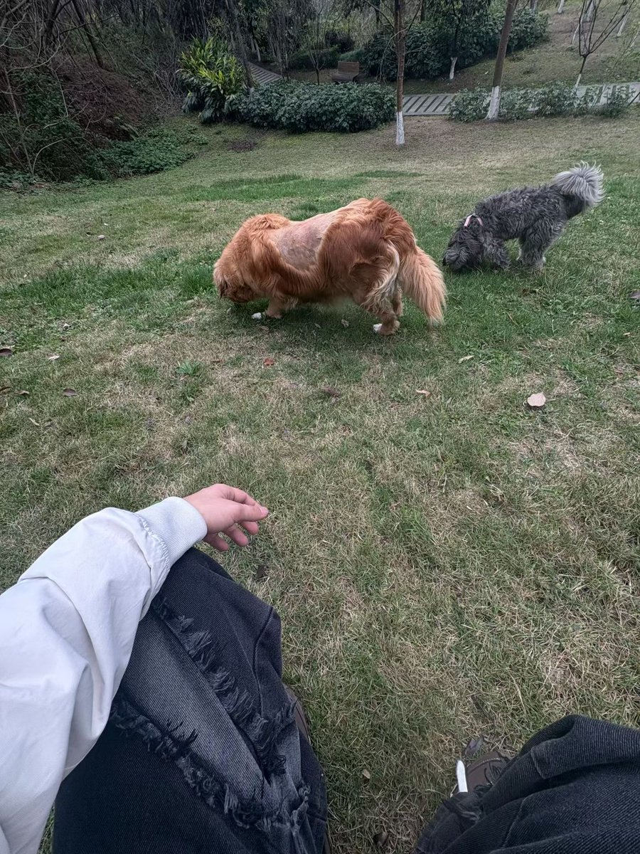 无解的情 tweet media