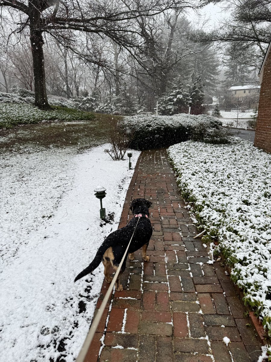 Andrea Verosko tweet media