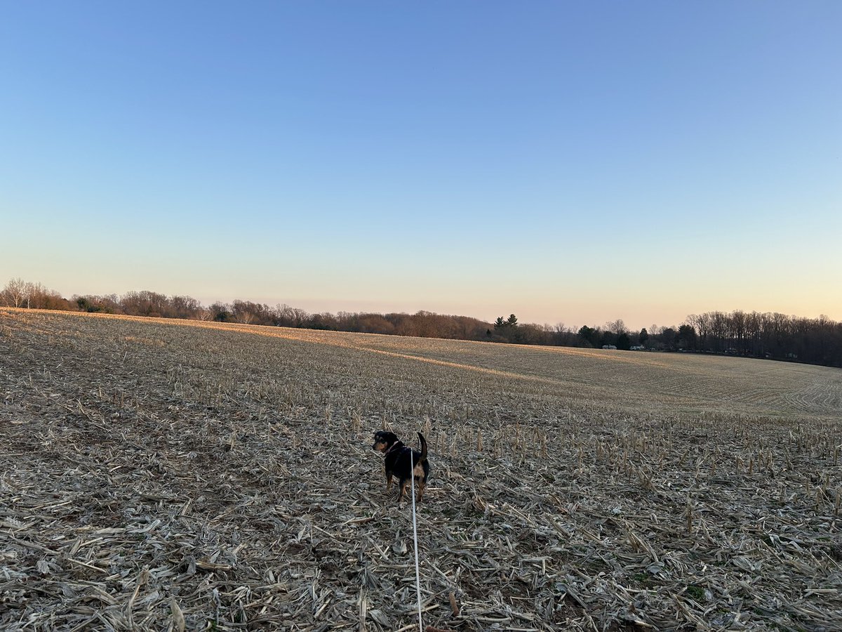 Andrea Verosko tweet media