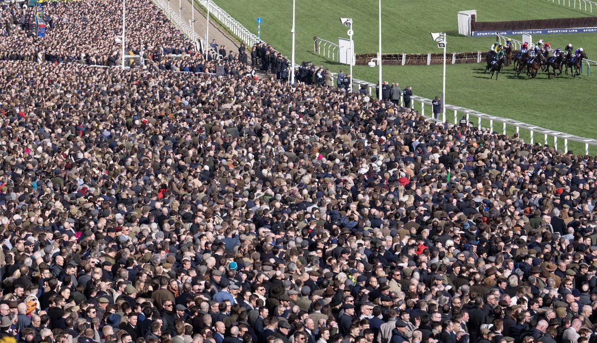 🐦Pigeon🐎Island🐦 tweet media