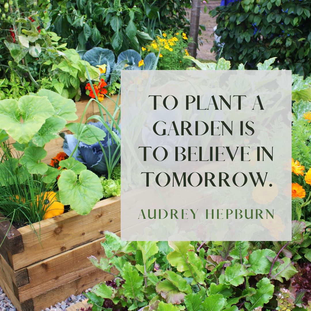 SCM Integrity First Companies tweet media