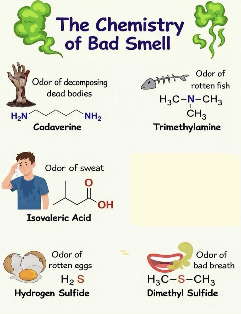 كيمــ..🧪..ـــيَآئِي 🇸🇦 tweet media
