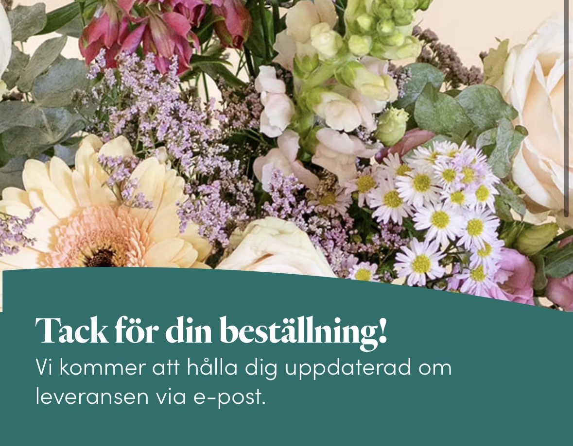 Marcus Wilberg🍋 tweet media