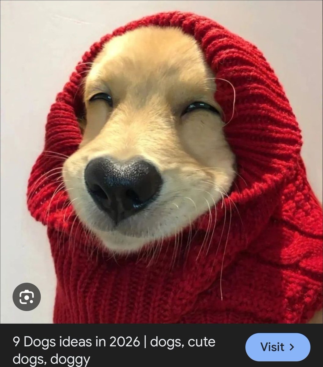 🚨 DECODING <a href="/silver_ceo/">Silver</a> 🚨

$BP TIN

Pretty simple one today. 

Silver modified the dog to have a GREEN turtle neck. 

The OG meme features a RED turtleneck.

RED ❤️ becomes GREEN 💚.

Soon.

😈