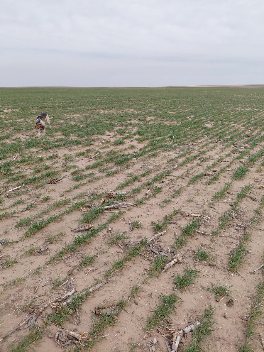 Jim Diamond tweet media