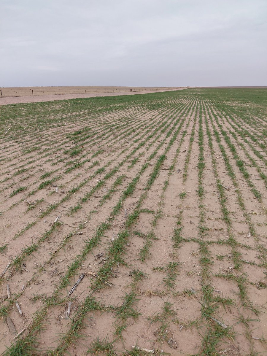 Jim Diamond tweet media