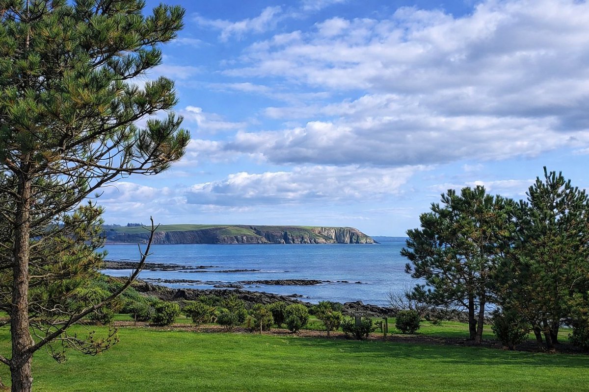 Patrick Kenealy tweet media