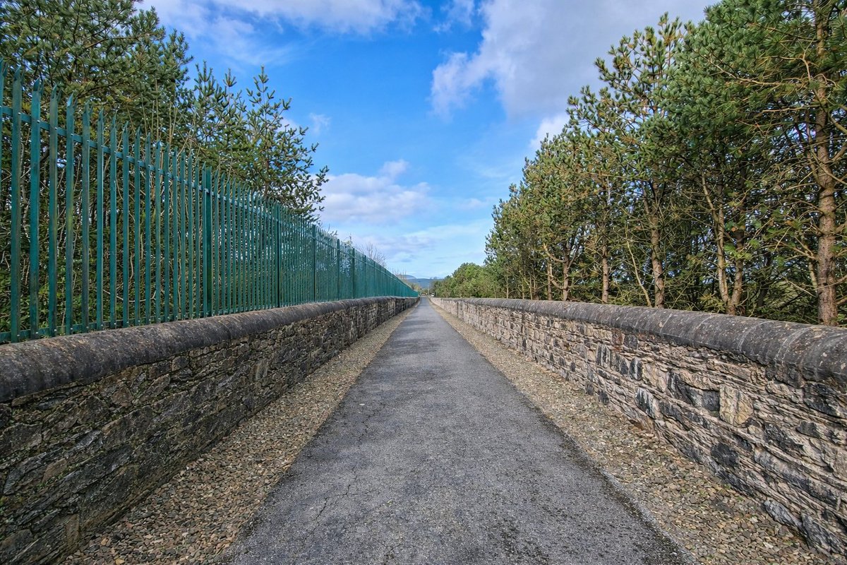 Patrick Kenealy tweet media