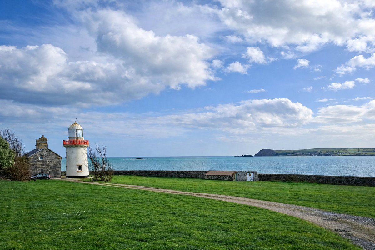 Patrick Kenealy tweet media