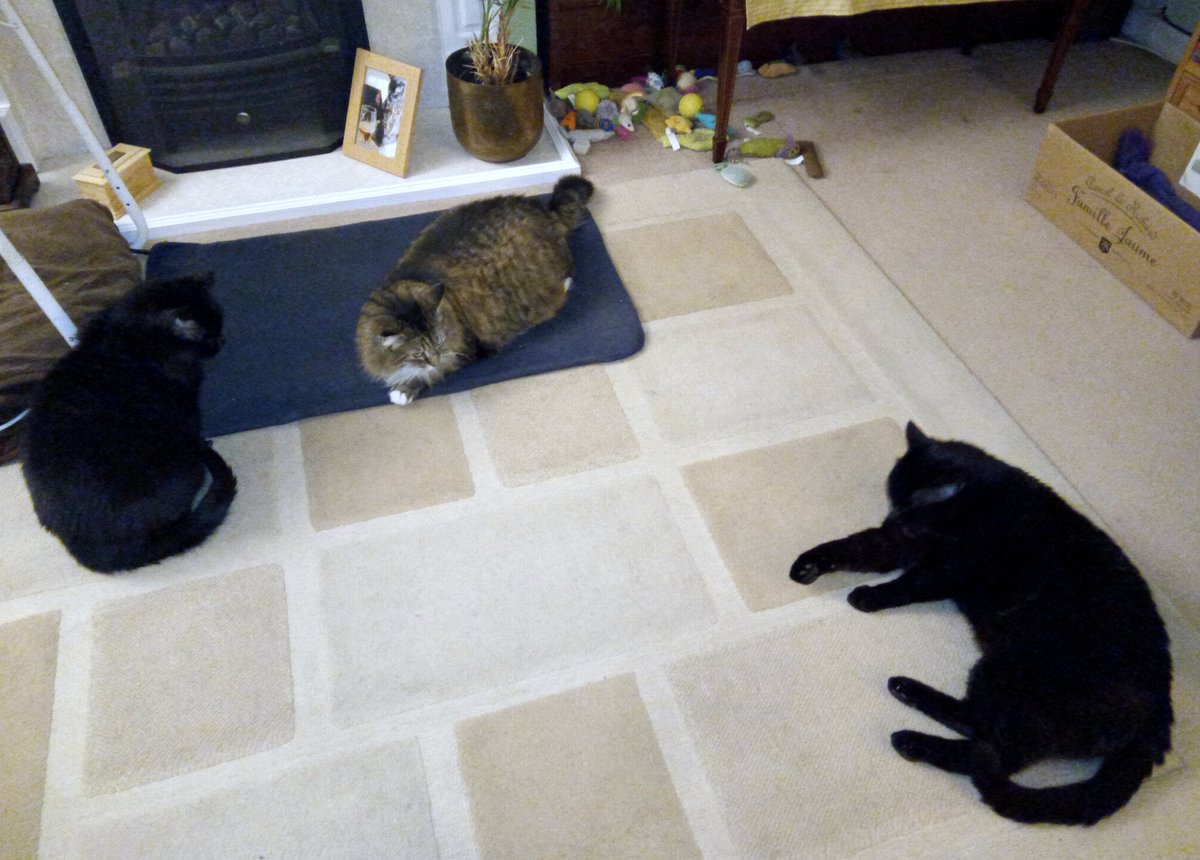 Nigel Sadler tweet media