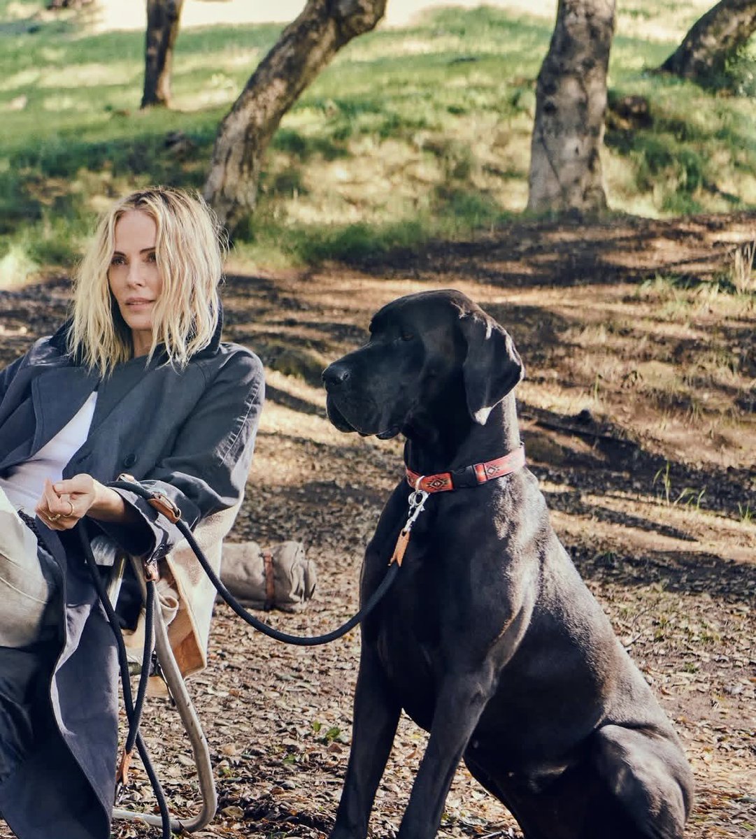 Charlize Theron tweet media