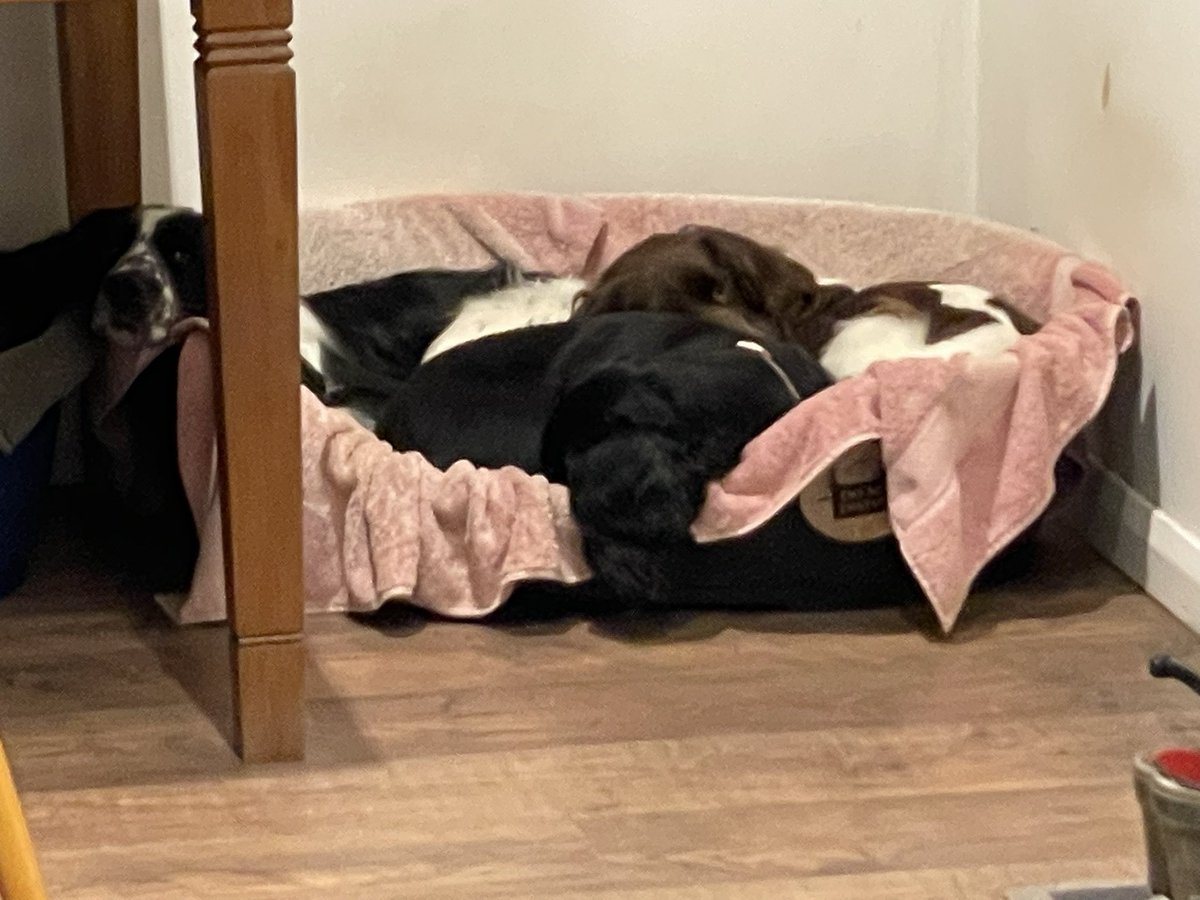 Albertspanners Dad tweet media