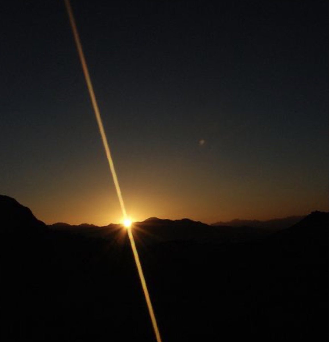 Nima Yamini tweet media