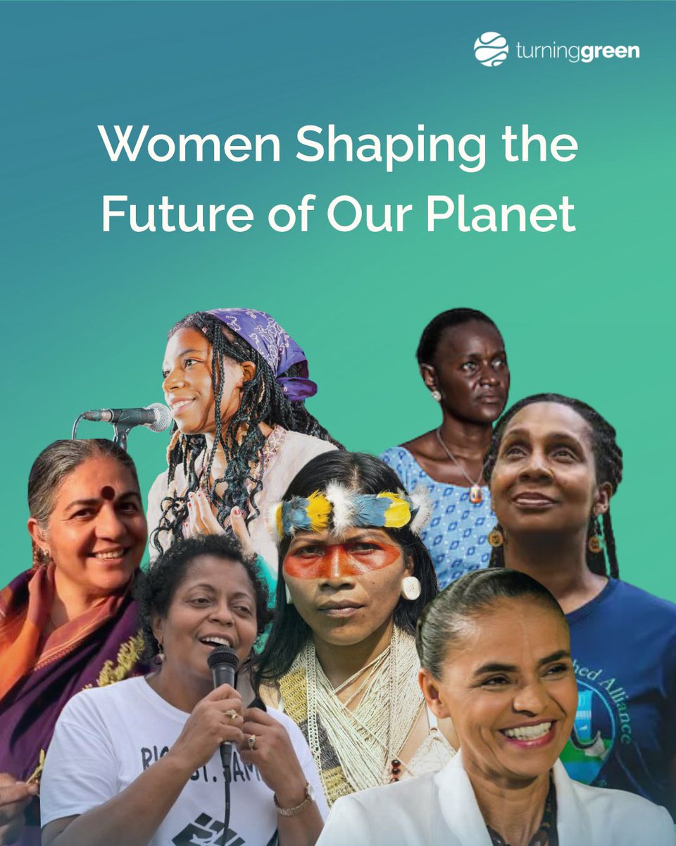 Turning Green tweet media