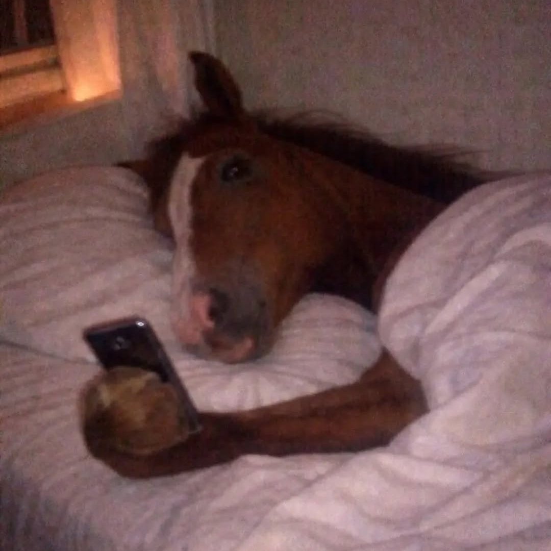 "just one more game"