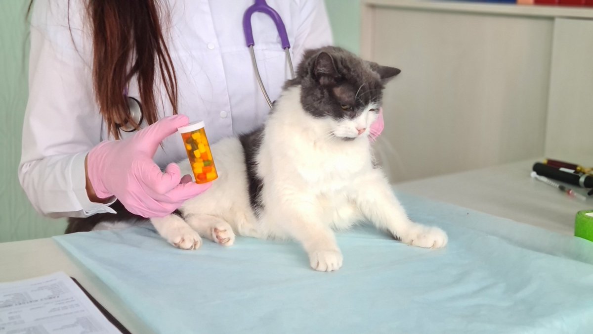 dvm360® tweet media