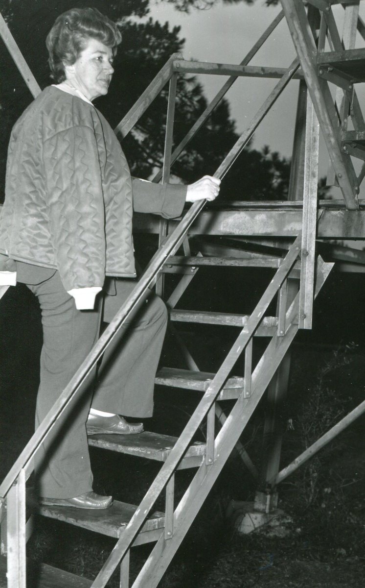 South Carolina Forestry Commission tweet media