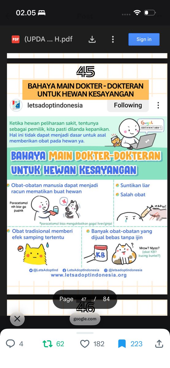 😻 Cut Yoona Hasanah (LDW Hasan/Uwk) tweet media