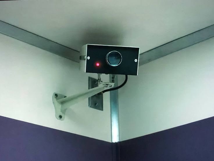 noe 🌙 tweet media