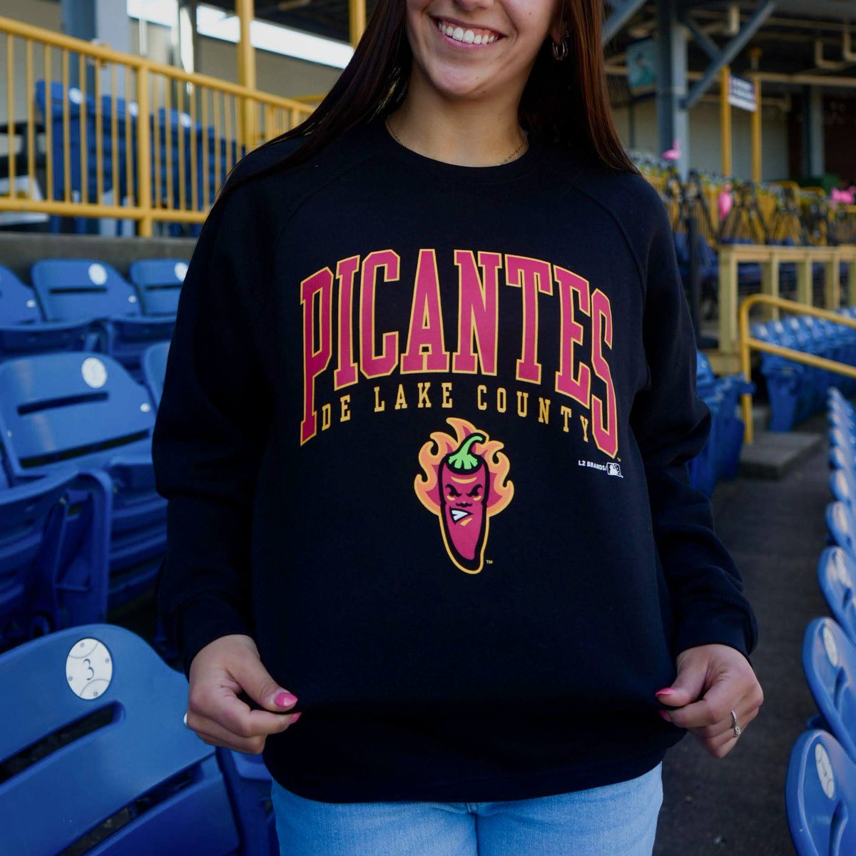 Lake County Captains tweet media