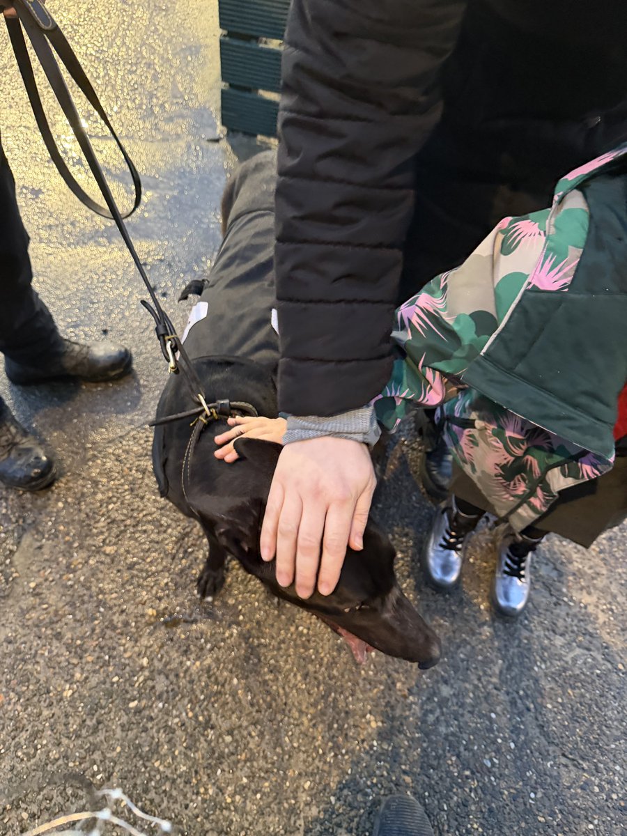 Ben Collins tweet media