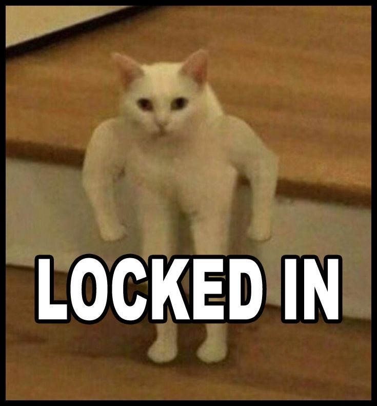 Addy Lopez is revising tweet media