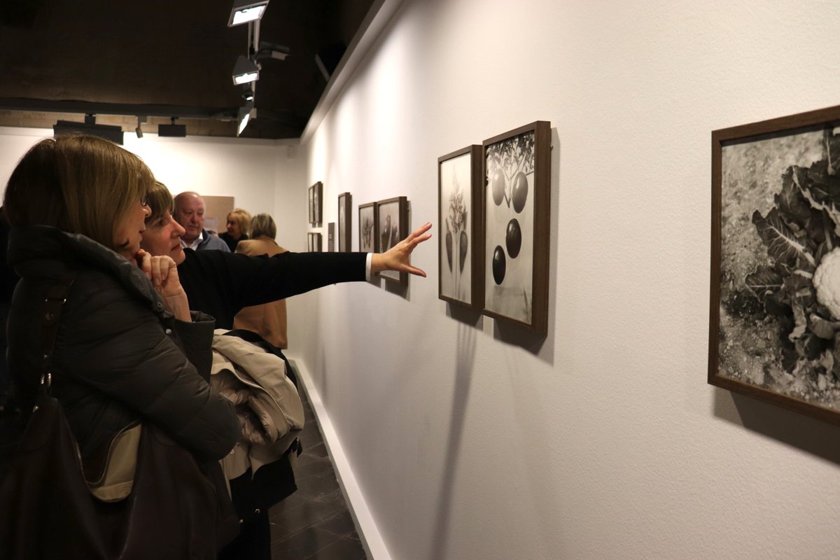 INSTITUT D'ESTUDIS ILERDENCS tweet media