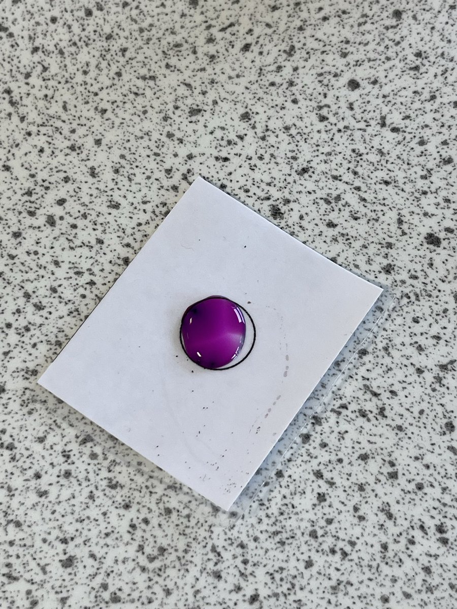 HermiAcadSci's tweet image. Our S3 Biologists have started looking at Transport this week, starting with diffusion 💧 🟣 #UNCRCArticle29